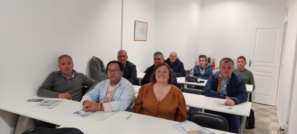 Motorista de Pesados de Passageiros