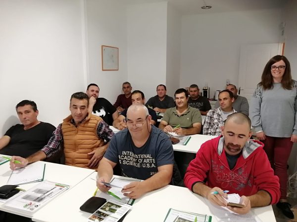 Motorista de Pesados de Mercadorias