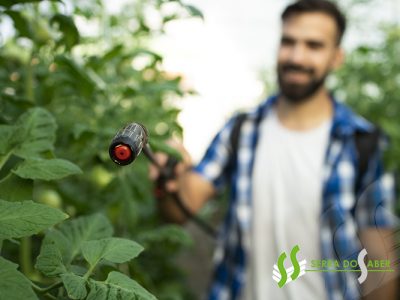 Aplicação de Produtos Fitofarmacêuticos – Renovação