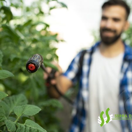 Aplicação de Produtos Fitofarmacêuticos – Renovação