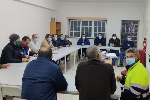 Motorista de Pesados de Mercadorias