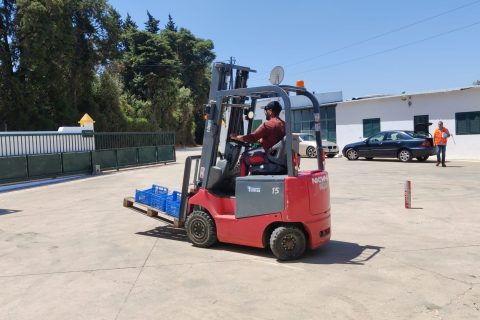 Condutor/Manobrador de Empilhadores