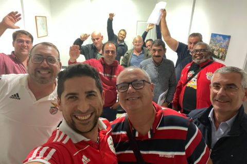 Motorista de Pesados de Mercadorias