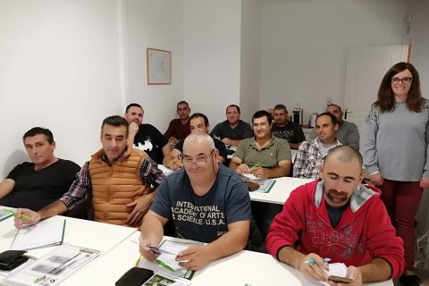 Motorista de Pesados de Mercadorias