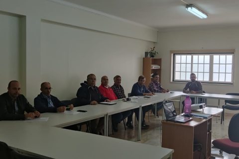 Motorista de Pesados de Mercadorias