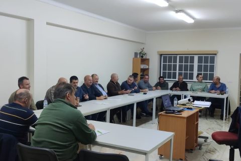 Motorista de Pesados de Mercadorias