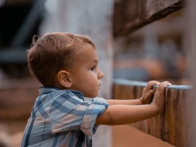 Prevenção da Negligência, Abusos e Maus-tratos