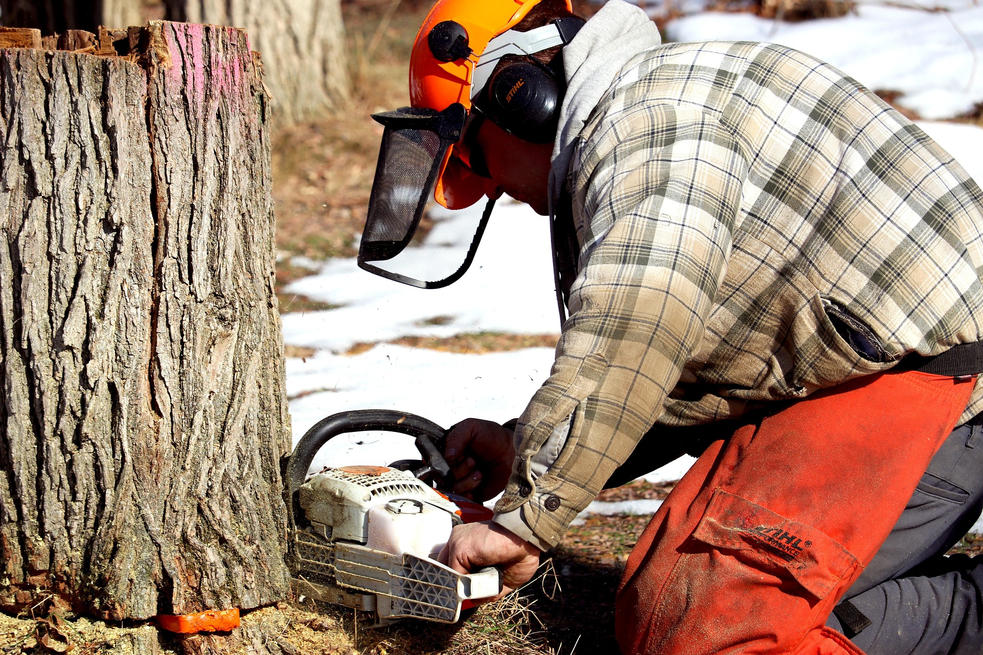 terski-chainsaw-6076170_1920 terski-chainsaw-6076170_1920
